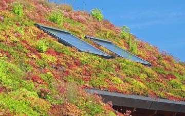 Shakerley living roof systems